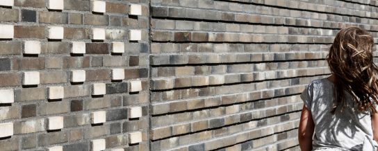 Apartment building, Iris Hus, section, Royal Night