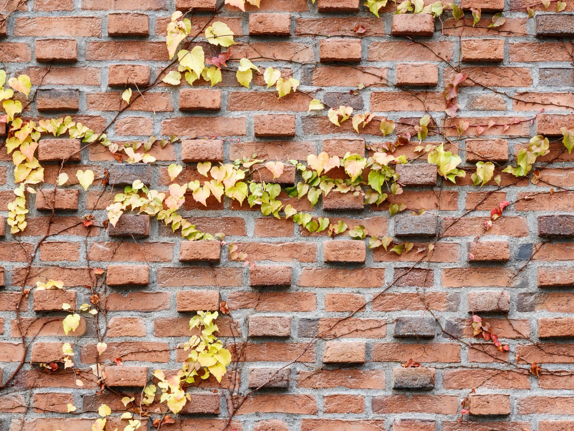 Apartment building, Groenttorvet, Hortensia Hus, Roed haandstroegen