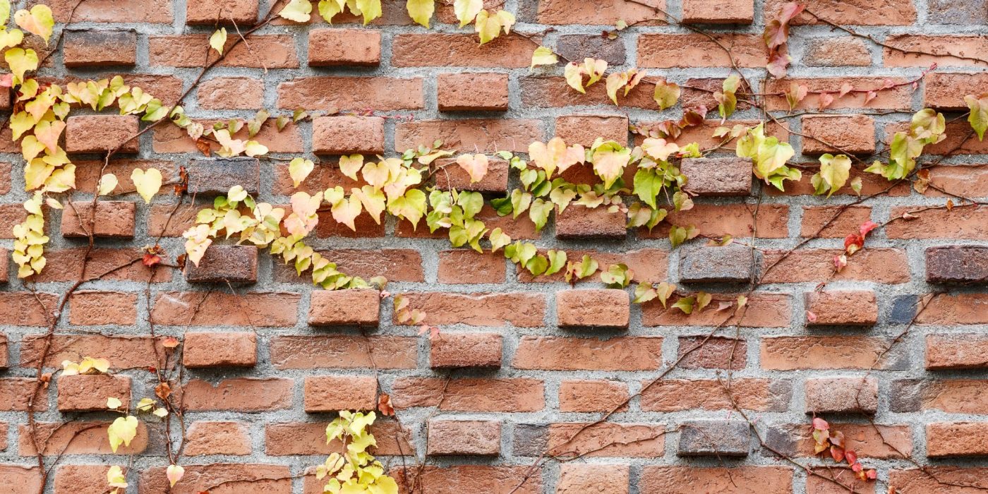 Apartment building, Groenttorvet, Hortensia Hus, Roed haandstroegen