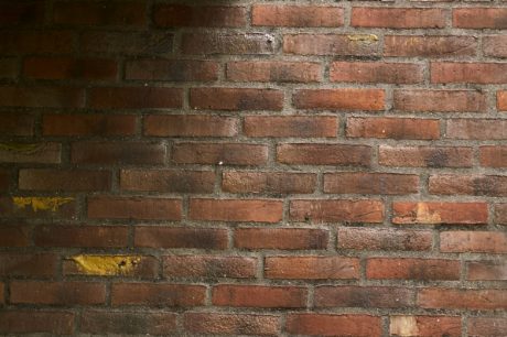 Brick - EW2448 Willems Forest - Riiskovbrynet