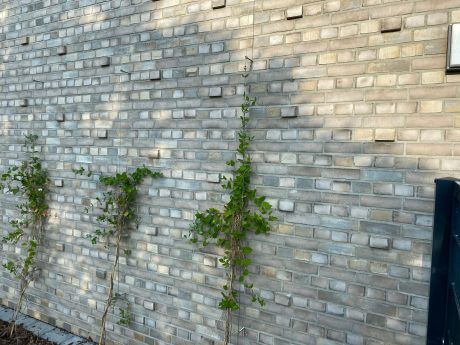 Brick: EW2169 Cold Hawaii - EW2165 Antibes | Feuerwehr Mobschatz, Germany