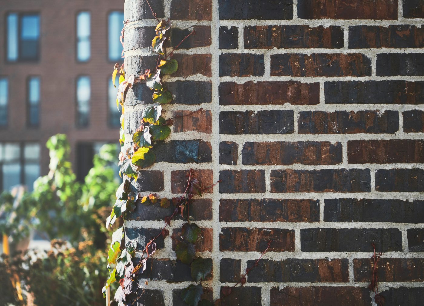 Brick - EW2445 Persa - Rhododendron Hus, Denmark