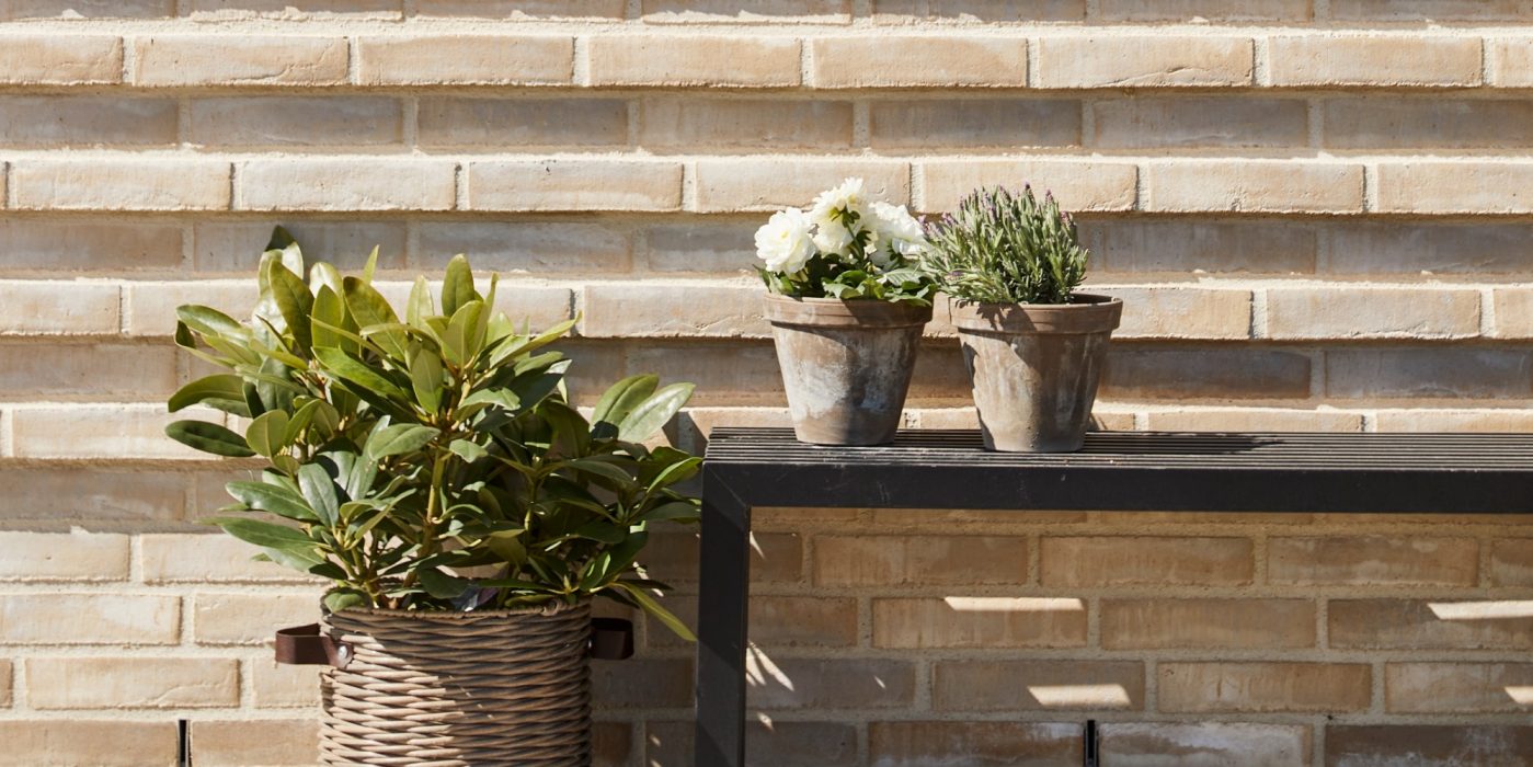 Ziegel: EW2169 Cold Hawaii | Privatbesitz