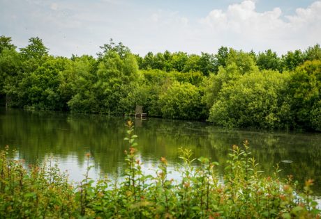 Biodiversity - Stenstrup claypit